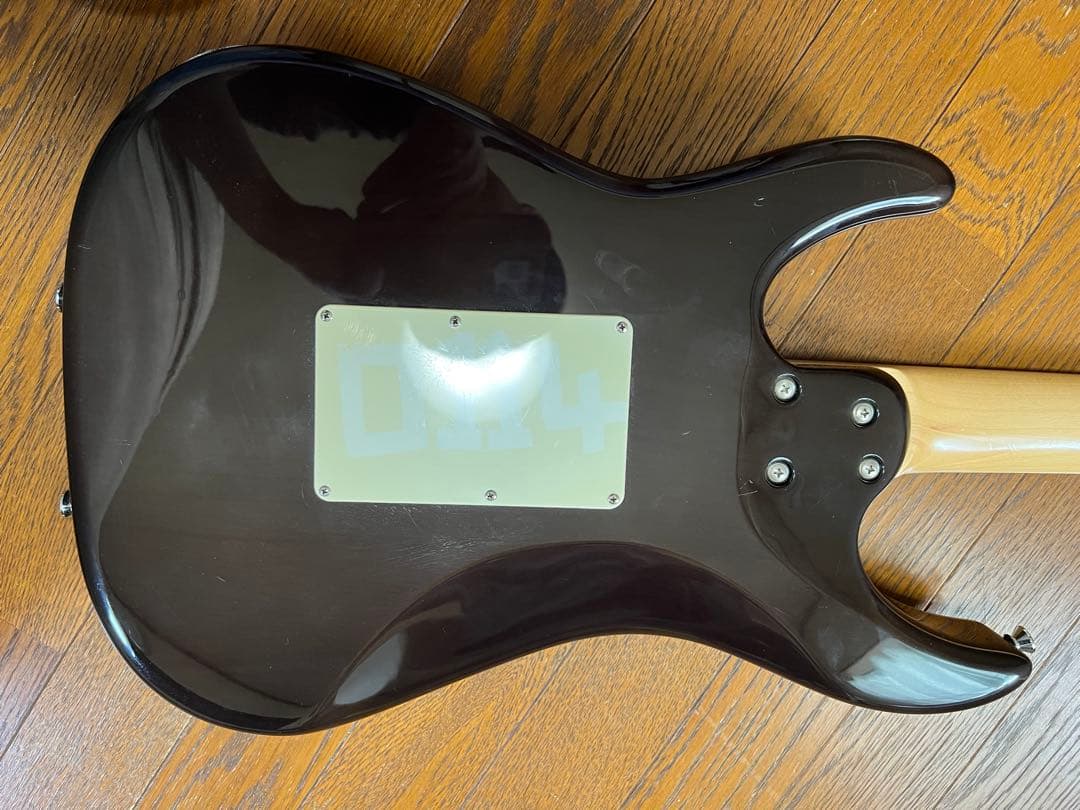SCHECTER SD-2-24 アッシュバック セイモアダンカン