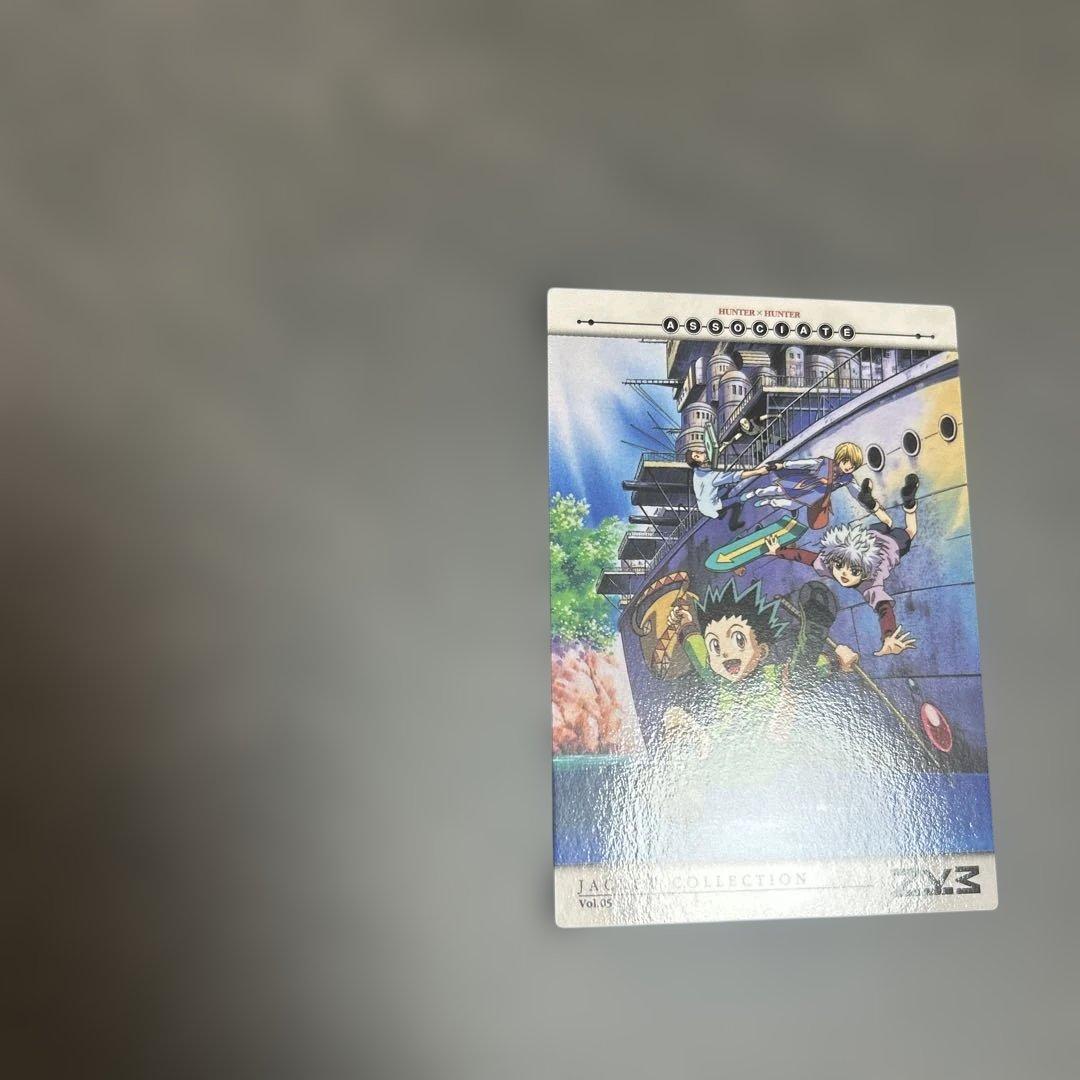 HUNTER×HUNTER カードダスマスターズ　プロモ　VD5 セルビデオ