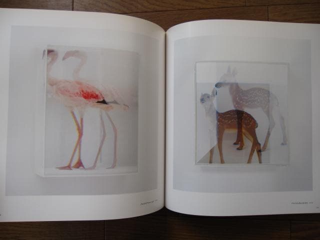 SYNTHESIS　シンセシス　名和晃平　Kohei Nawa