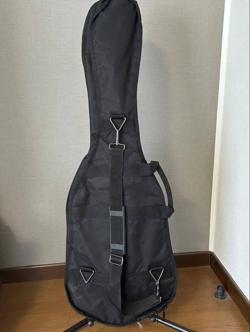 ESP GrassRoots HORIZON エレキギター ソフトケース付き