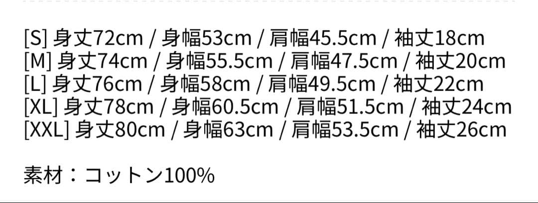 ミュージシャン ENGLISH DATE BACK SS TEE