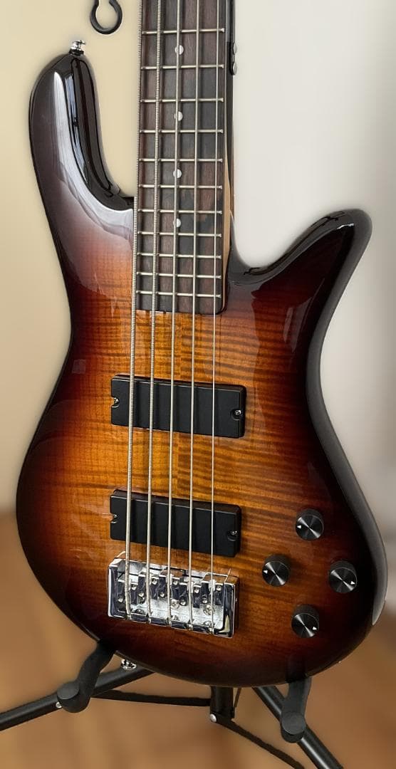 【チューナーサービス】Spector 5弦ベース【美品レア】