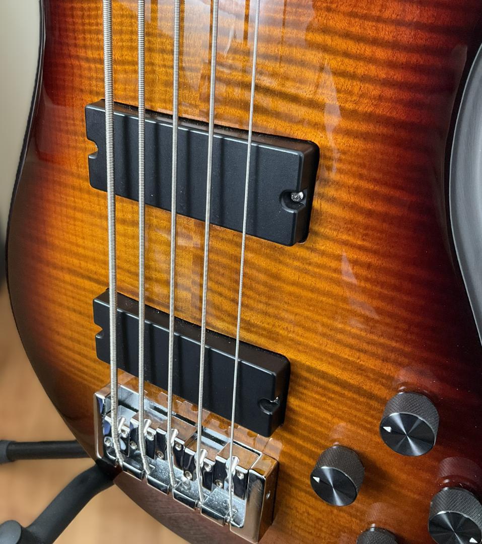 【チューナーサービス】Spector 5弦ベース【美品レア】