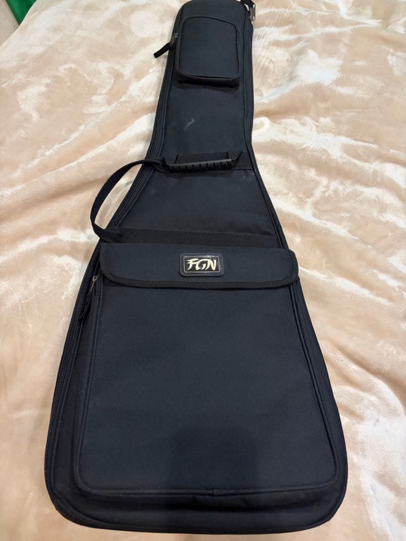 5弦ベース ナチュラルカラー フジゲン