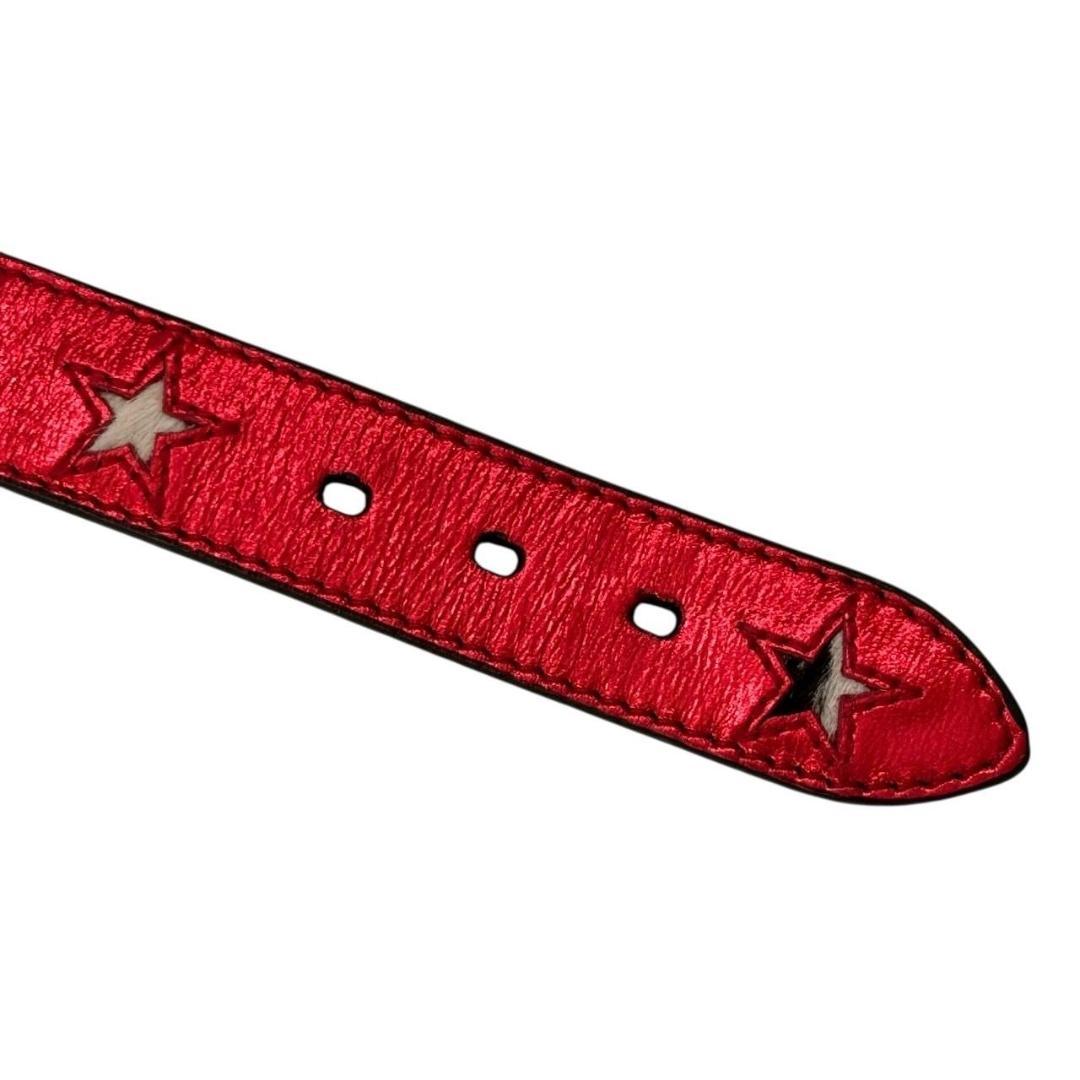 【未使用保管品】SAINT LAURENT サンローラン 首輪 犬 ペット用