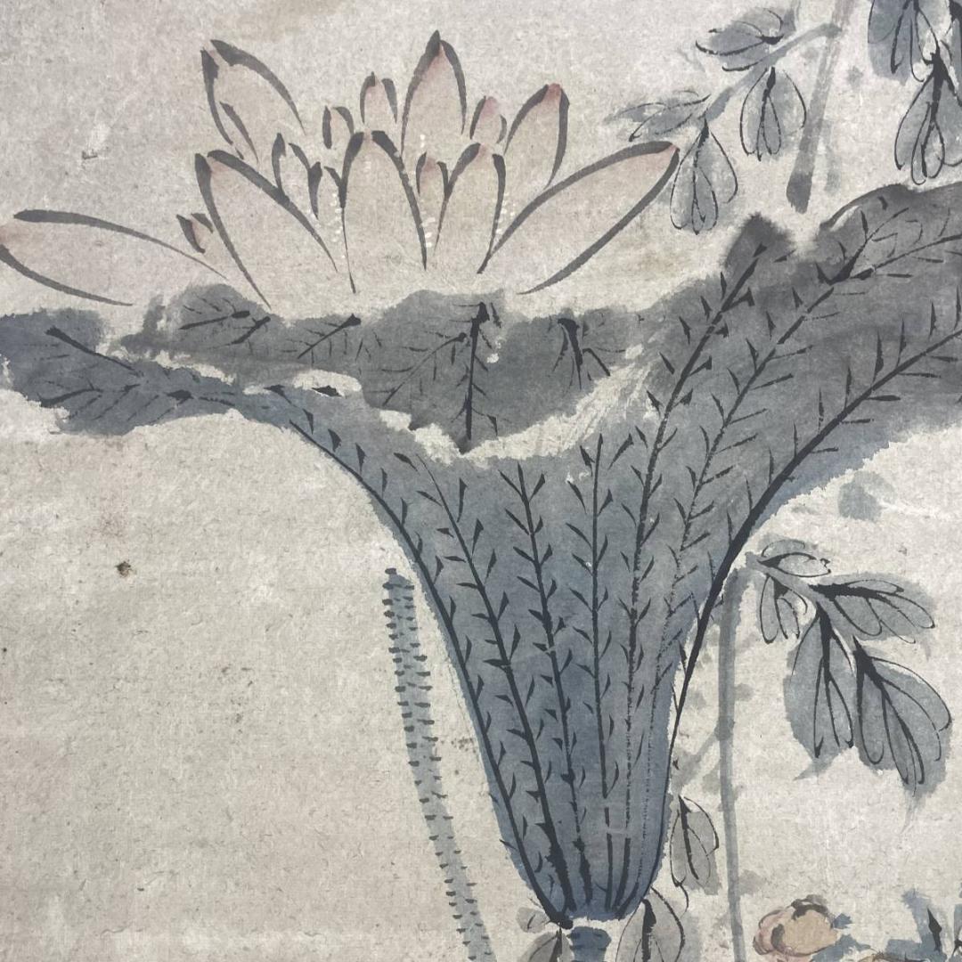 真作/浦上春琴/菊花三種之図/花鳥/絹表装/布袋屋掛軸A-234
