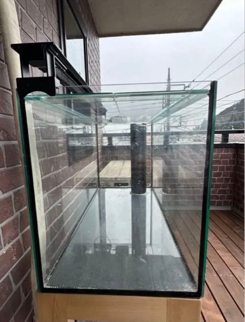 るい　水槽