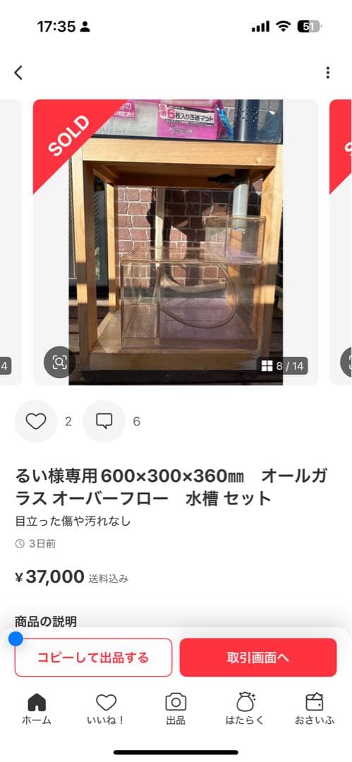 るい　水槽