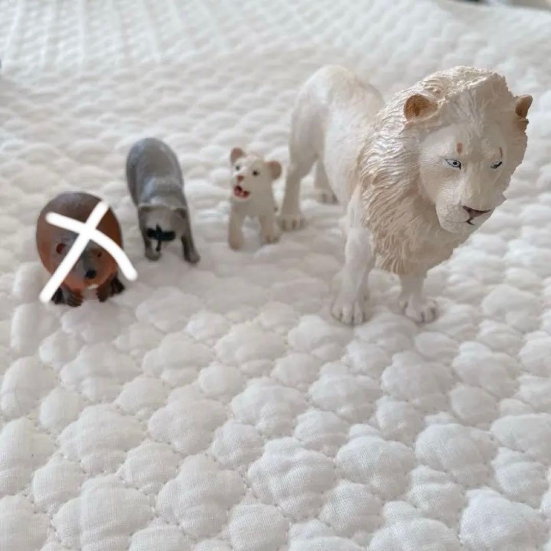 シュライヒ コレクタ 動物 フィギュア セット