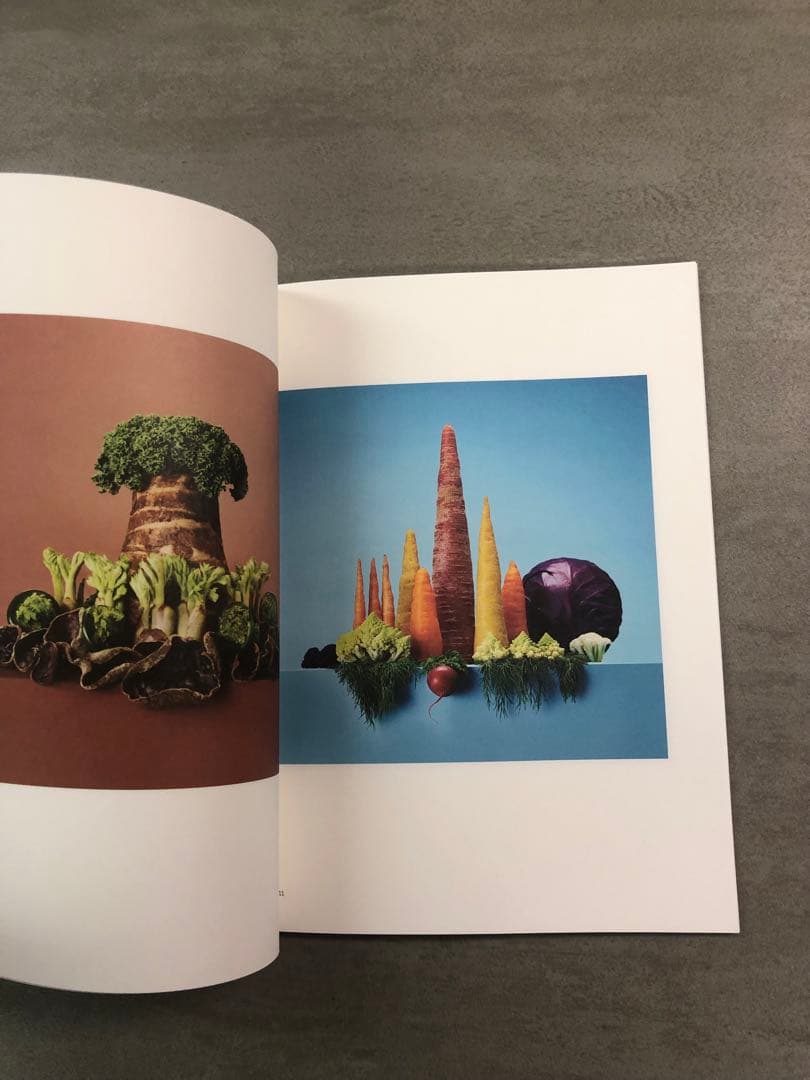 Kazunari Ogawa FRESH  作品集