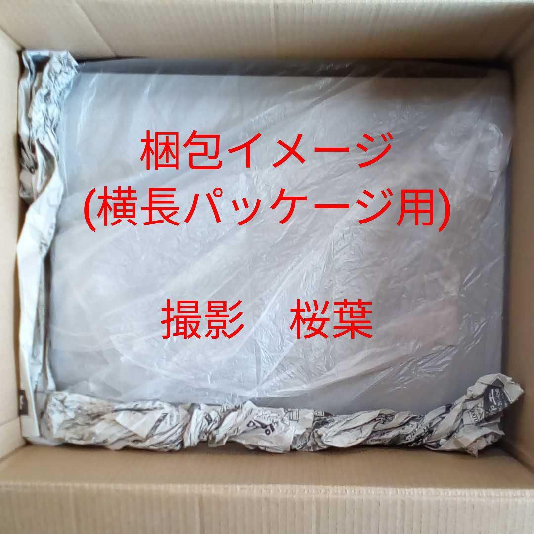 ガンプラ mg TR-1ヘイズル2号機 アーリータイプ 内袋未開封 未組立