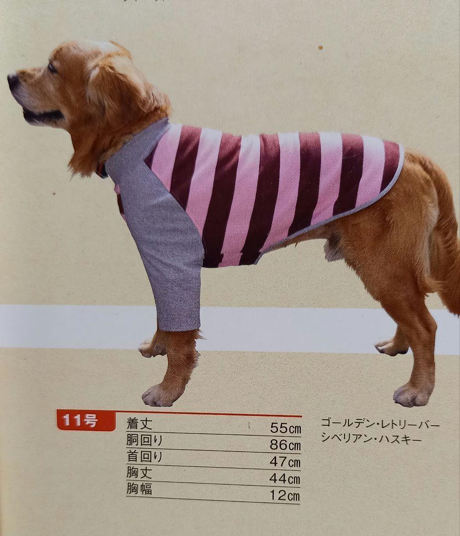 パーカー付き