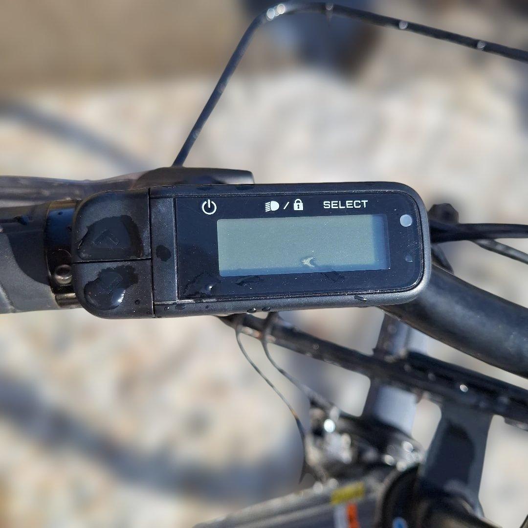 PAS RIN 電動アシスト自転車 グレー