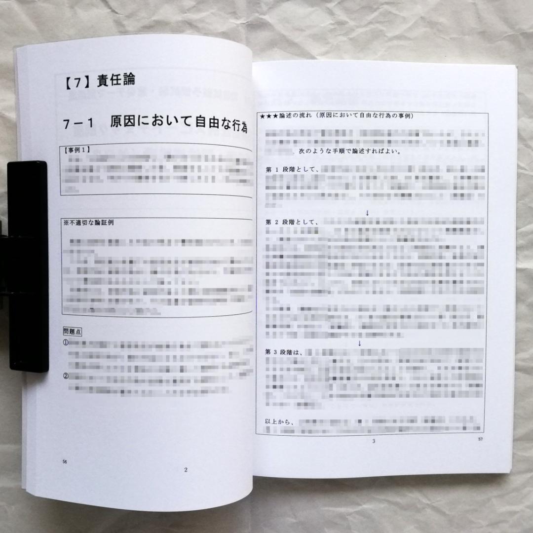 【専用】「刑法重要論点の論証例スピードチェック講座」／司法試験＆予備試験／新品