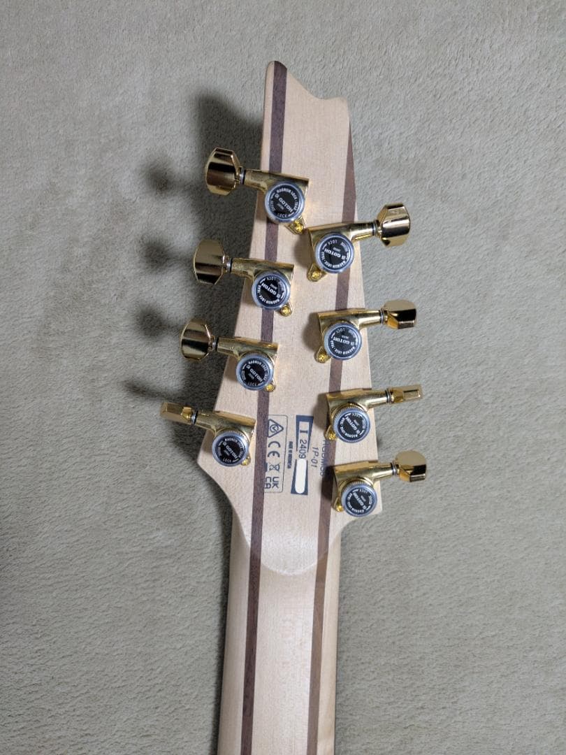 ギター Ibanez / RGDMS8 CSM