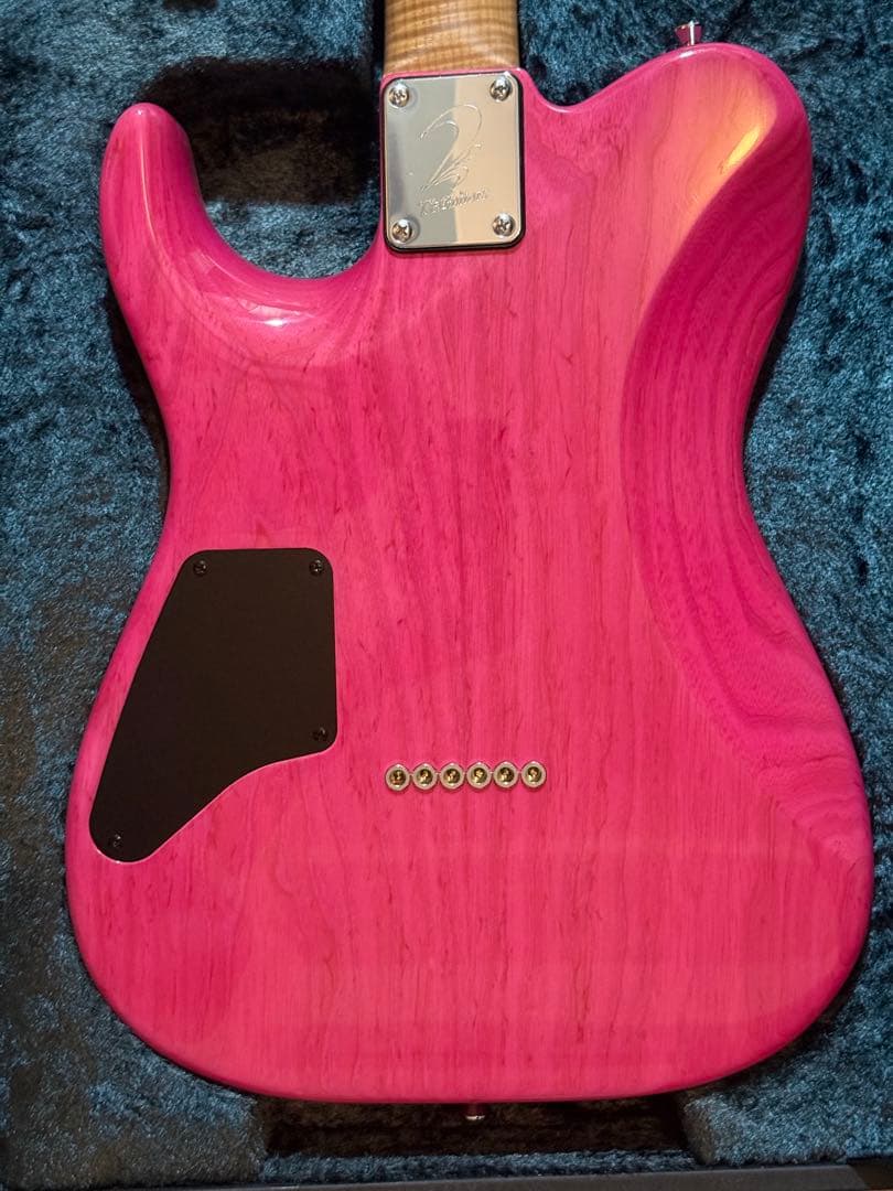 ギター T's Guitars DTL-22 custom order