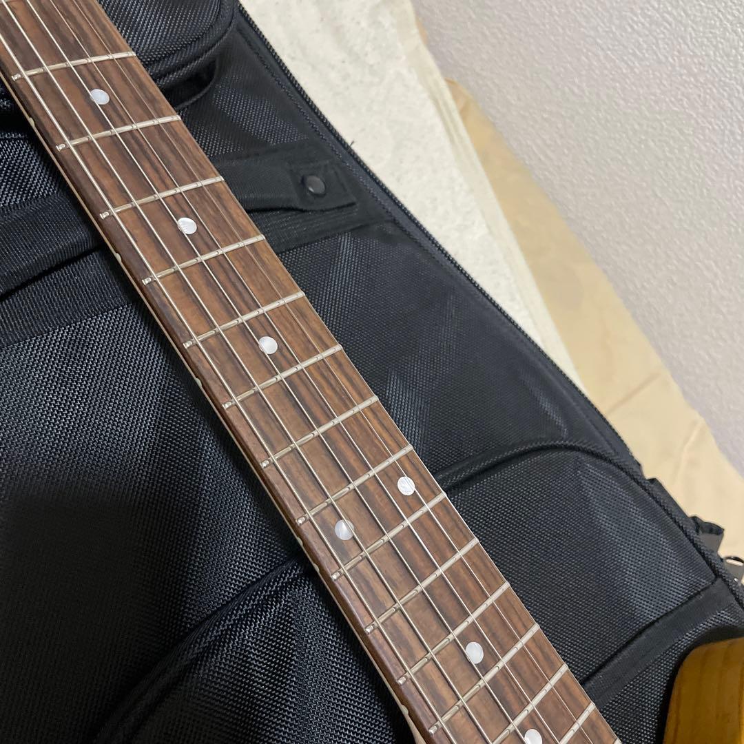 ギター FREEDOM CUSTOM GUITAR RESEARCH Shaker