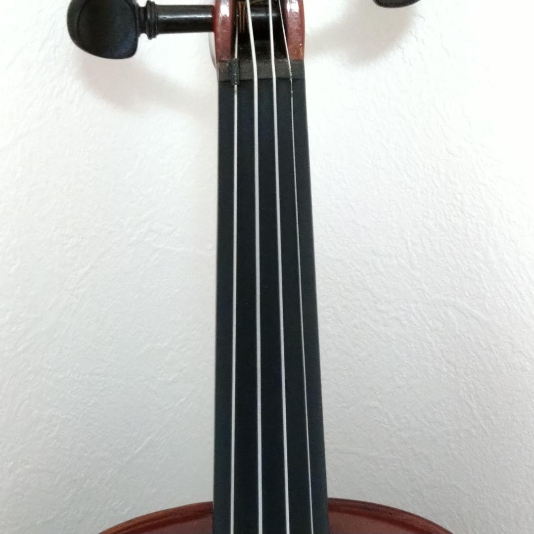 Roderich Paesold No 803 4/4 ペゾルト バイオリン