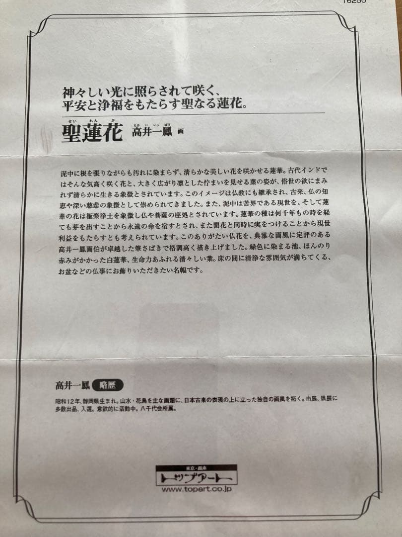 高井一鳳作　聖蓮花 掛軸　新品未使用品