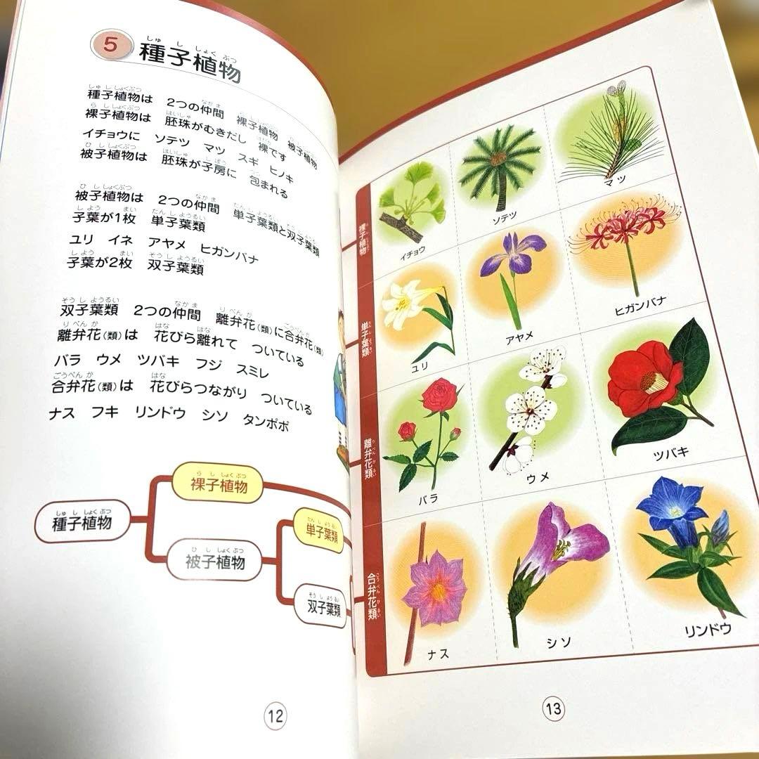 七田式　うたって覚えよう　理科ソング・社会科ソング　〈5冊セット〉CD付