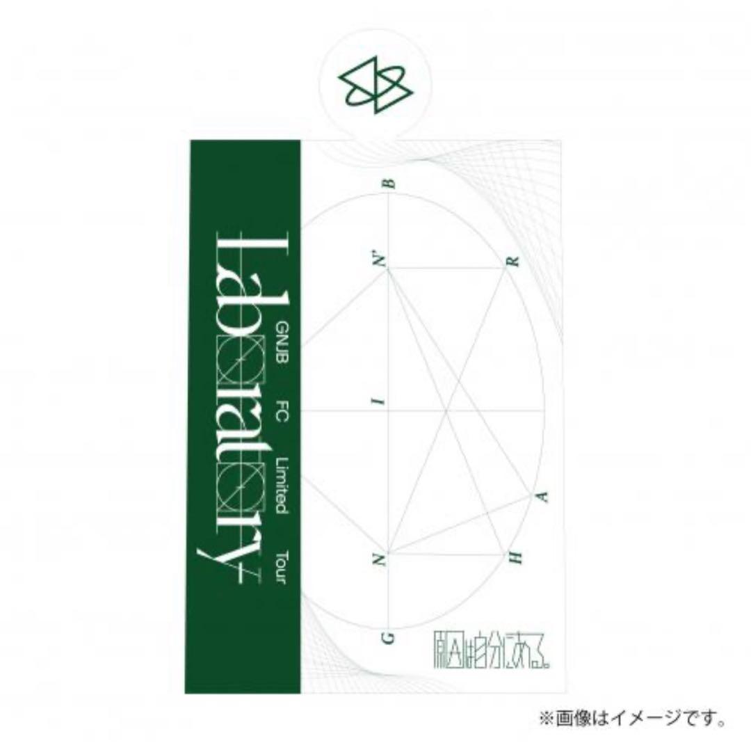 原因は自分にある。 単色ペンライト 【Laboratory ver.5 緑】