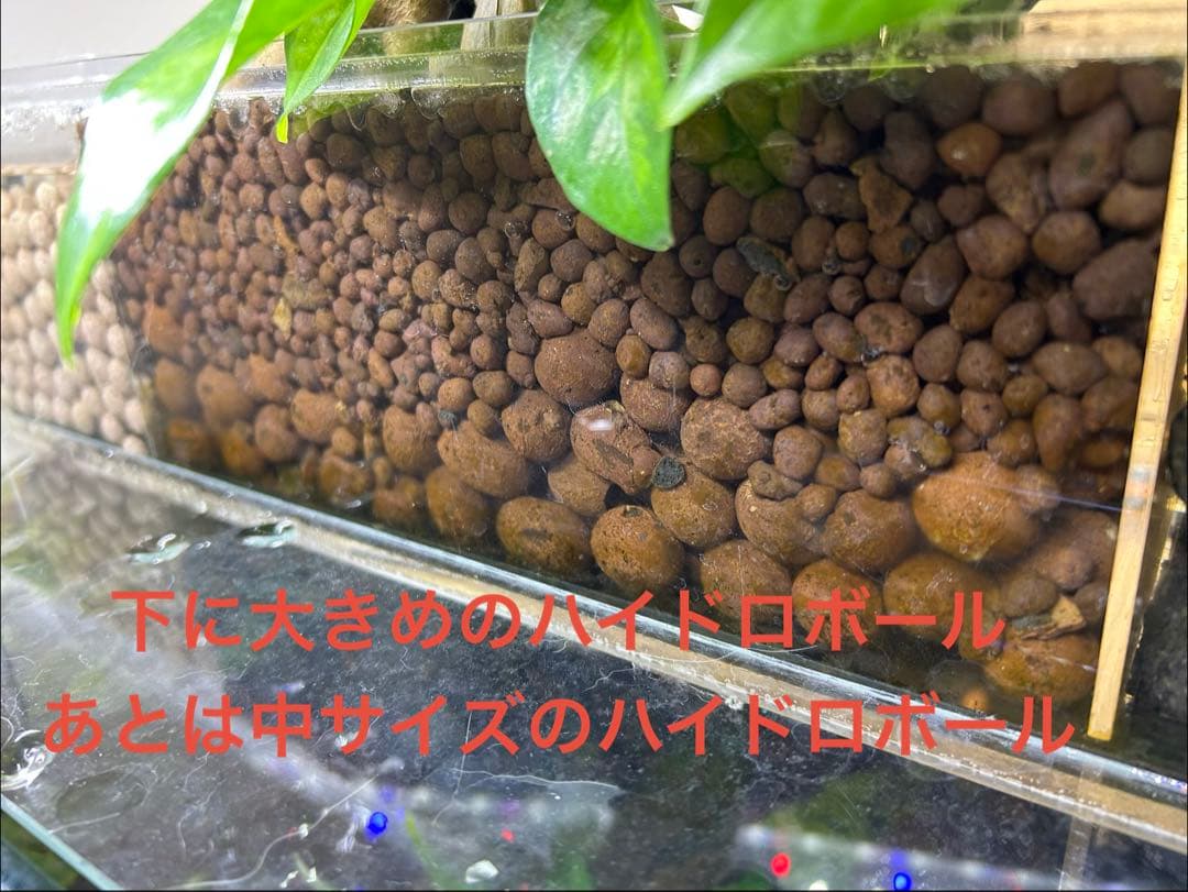 【訳あり】60㎝水槽用　上部濾過式アクアリウム水槽アクアポニックス仕様B