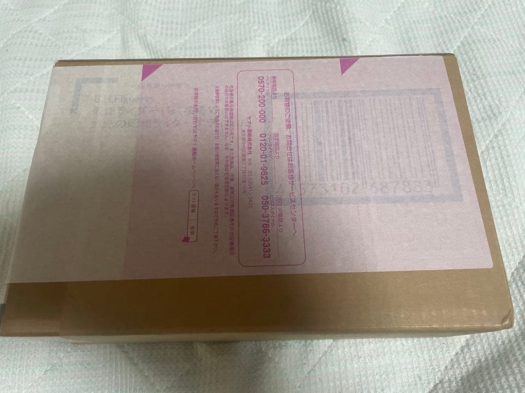 S.H.figuarts 真骨彫 仮面ライダー1号 桜島バージョン