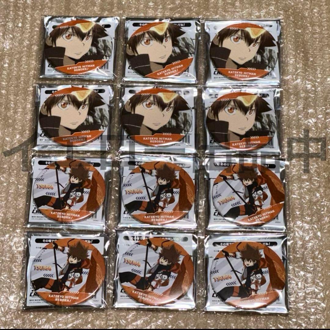 家庭教師ヒットマンREBORNラッキー缶バッジBOX 1カートン リボーン くじ