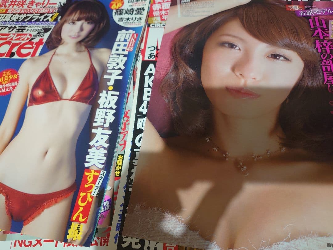 【大量】グラビアアイドル・山本梓さん 雑誌切り抜き