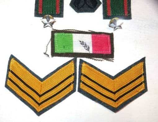 WW2 イタリア軍 第44歩兵師団「クレモナ」＆ 南伊軍「クレモナ戦闘団」徽章