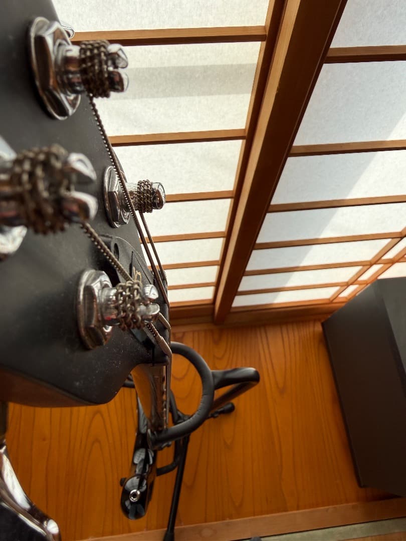 warwick streamer LX　2009ドイツ製