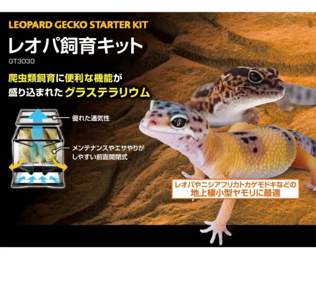 ホ*ナ様 レオパ飼育キット GT3030　【爬虫類初心者にもオススメ】
