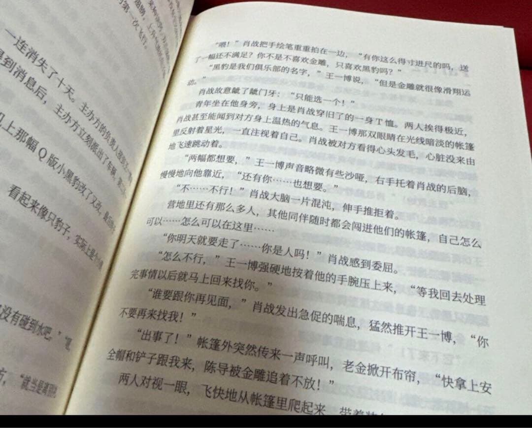 博君一肖 王一博 肖战 肖戦 絵師画集文集各一冊 bjyx 極厚本2冊 公式美品