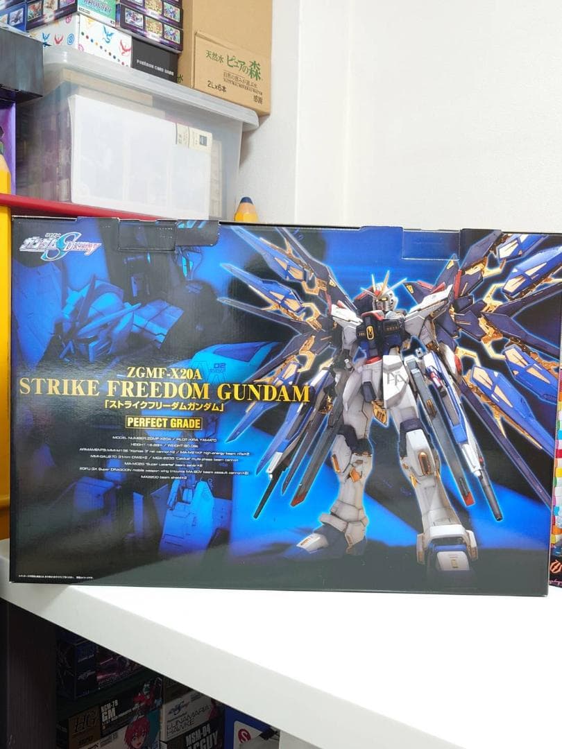 【未組立】PG 1/60 ストライクフリーダムガンダム ※内袋未開封