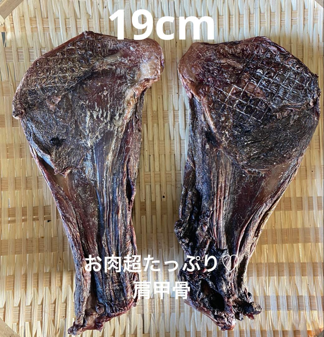 その他 LY