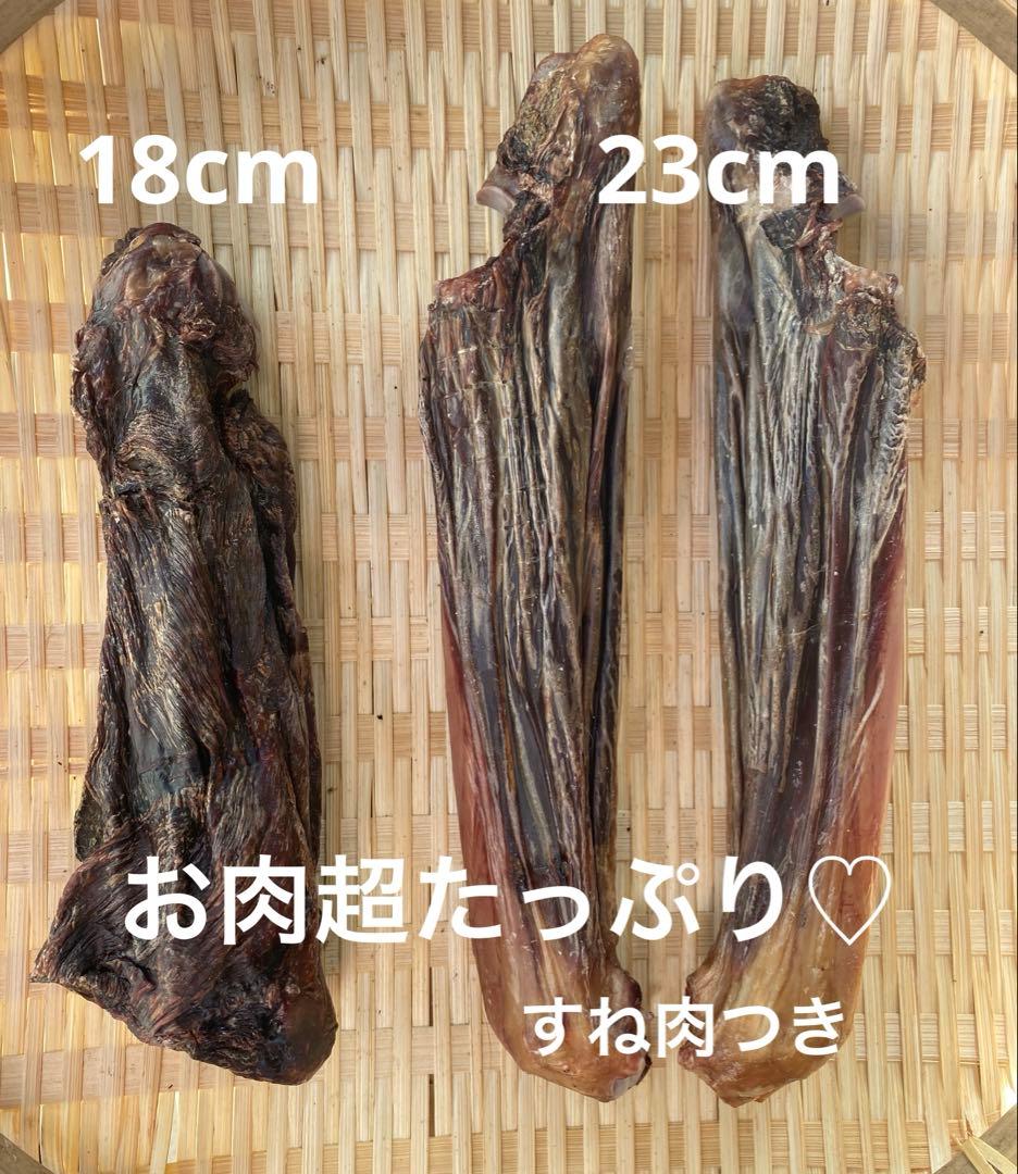 その他 LY