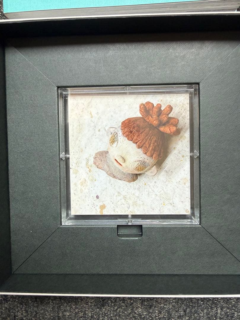 [証明書なし] 奈良美智 写真作品 Days 2014-2018:Sixteen