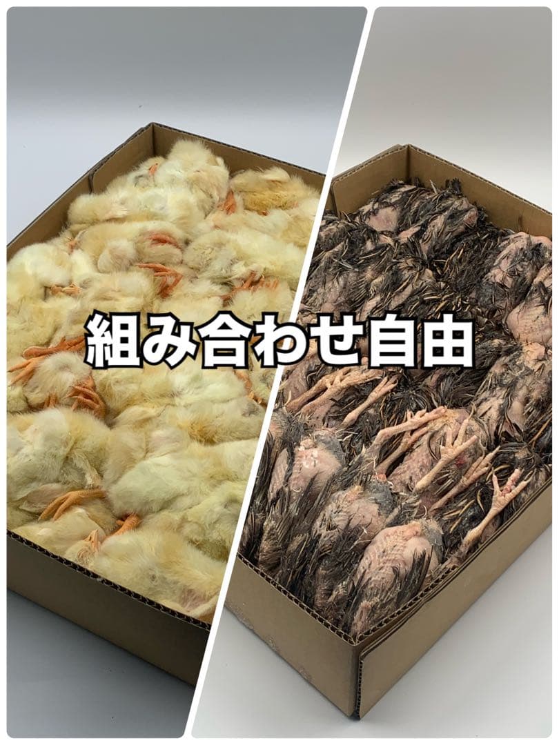 冷凍ウズラ5kg×6段【送料込】