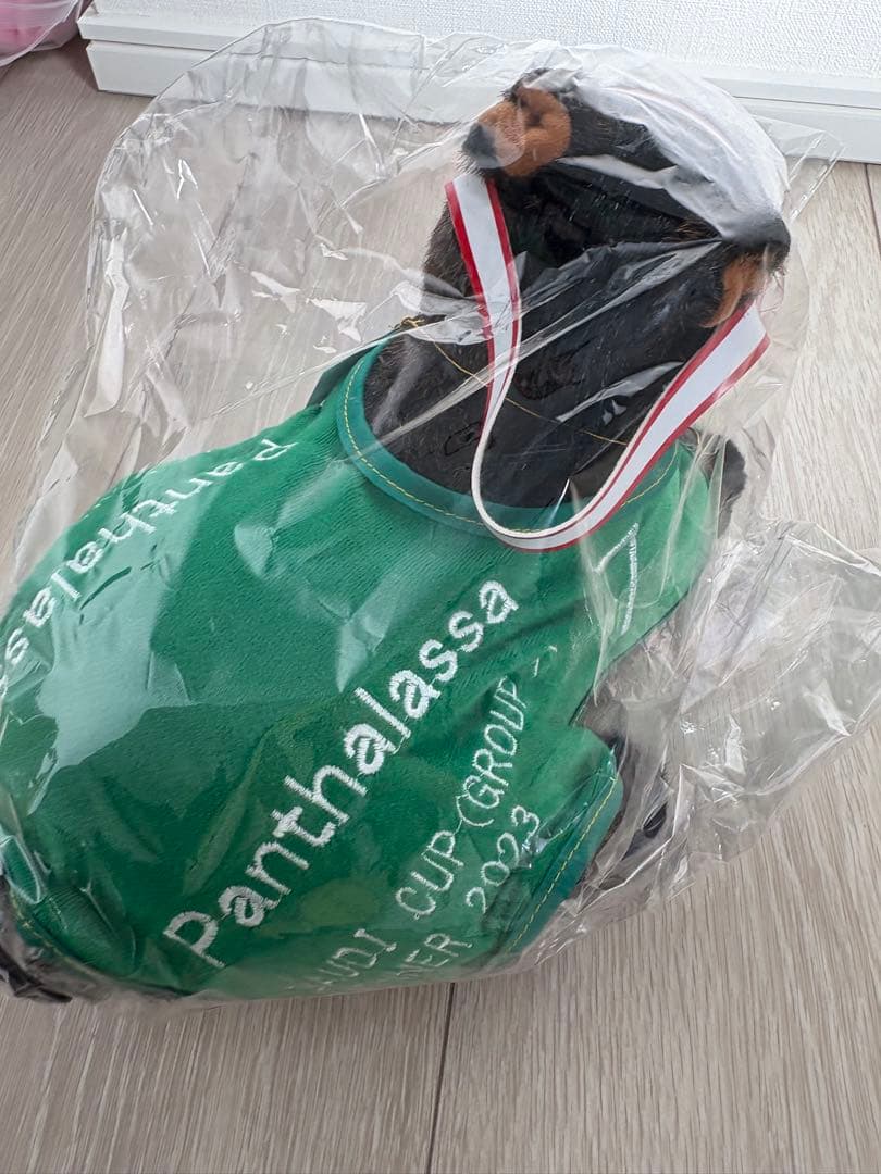 Panthalassa ぬいぐるみ サウジカップウィナー2023