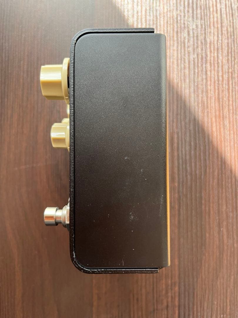 Strymon FLINT V2 トレモロ & リバーブ