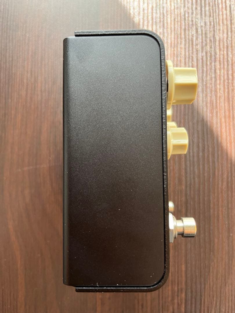 Strymon FLINT V2 トレモロ & リバーブ