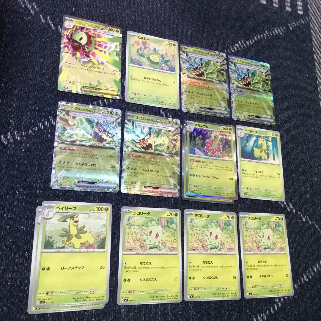 ポケモンカード　デッキ　メガメガニウムex　オーガポン　[04665]
