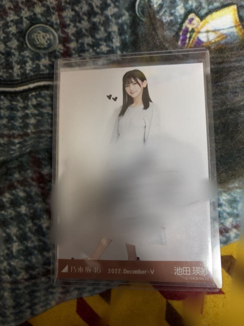 乃木坂46 池田瑛紗　生写真 ケーブルニット ヒキ 直筆サイン