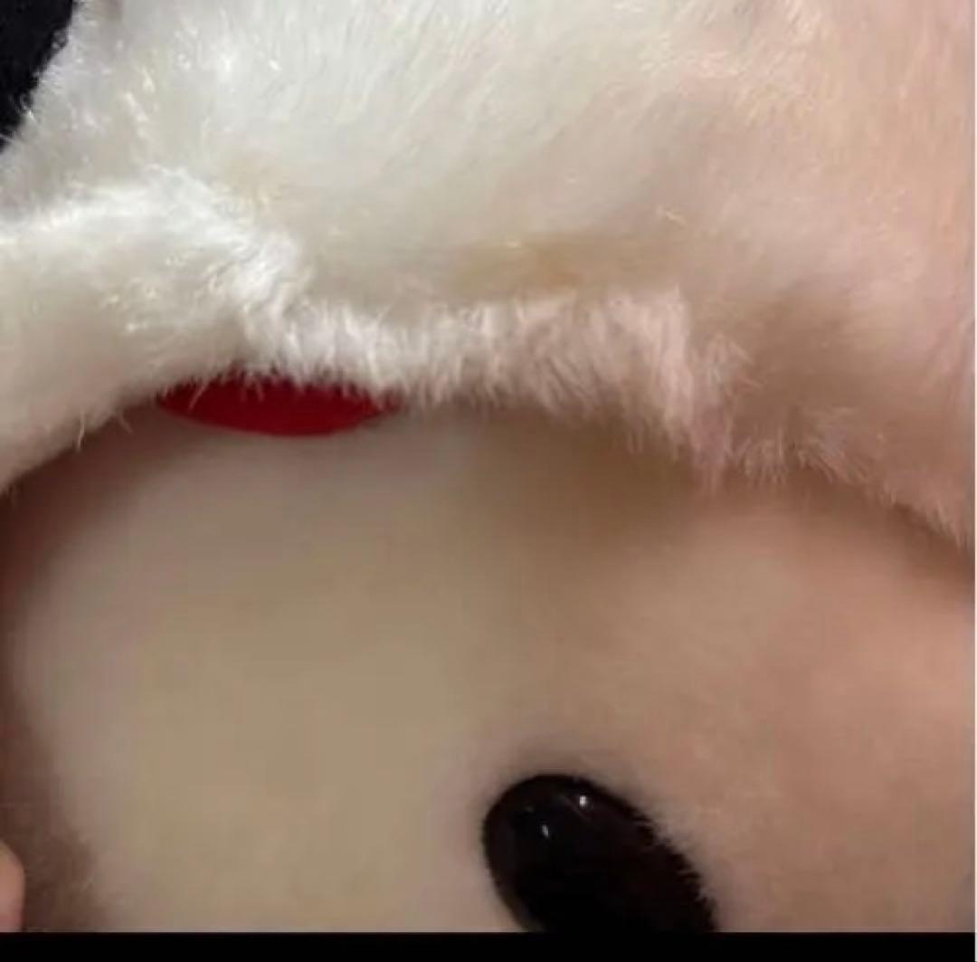 ハローキティ　変身　パンダ　Lサイズ　ぬいぐるみ