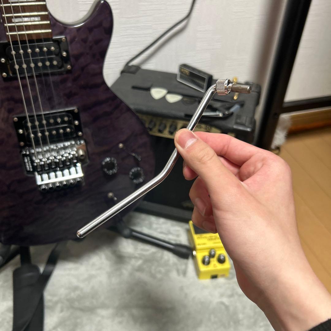 Grass Roots エレキギター パープル