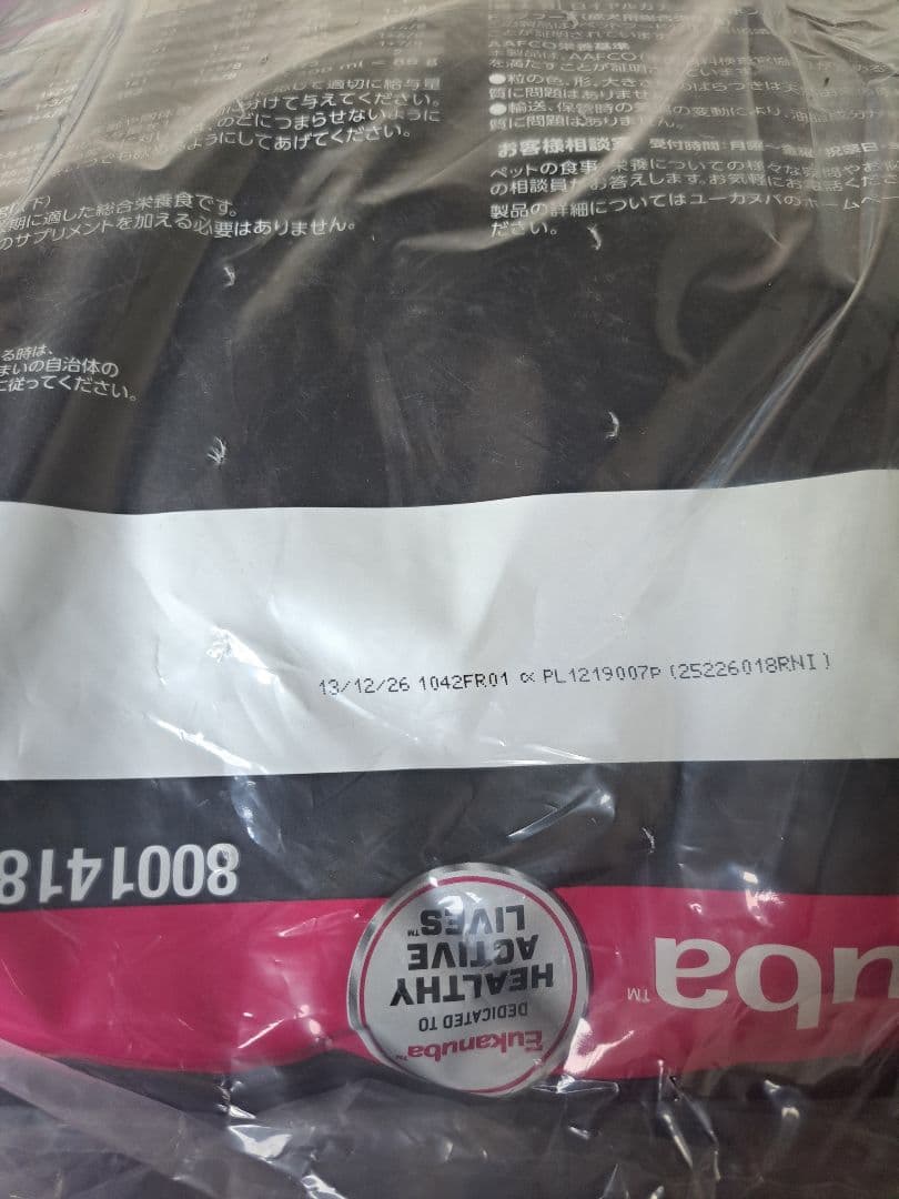 くーたくん