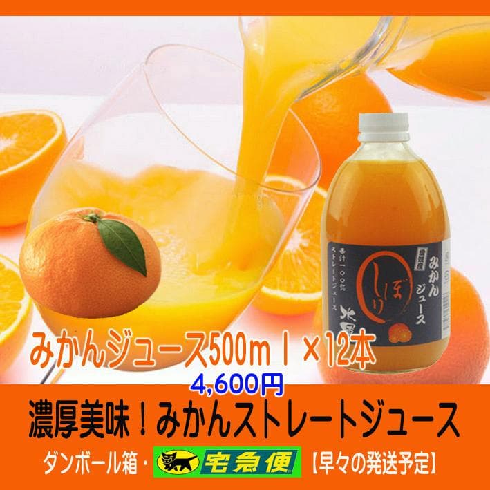【ヨッちゃん】500ｍｌみかんジュース１２本＊２箱　【２箱縛りでの発送】