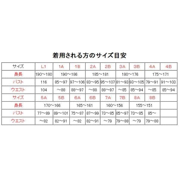 航空自衛隊 リップストップ デジタル 迷彩服 ３Ａ
