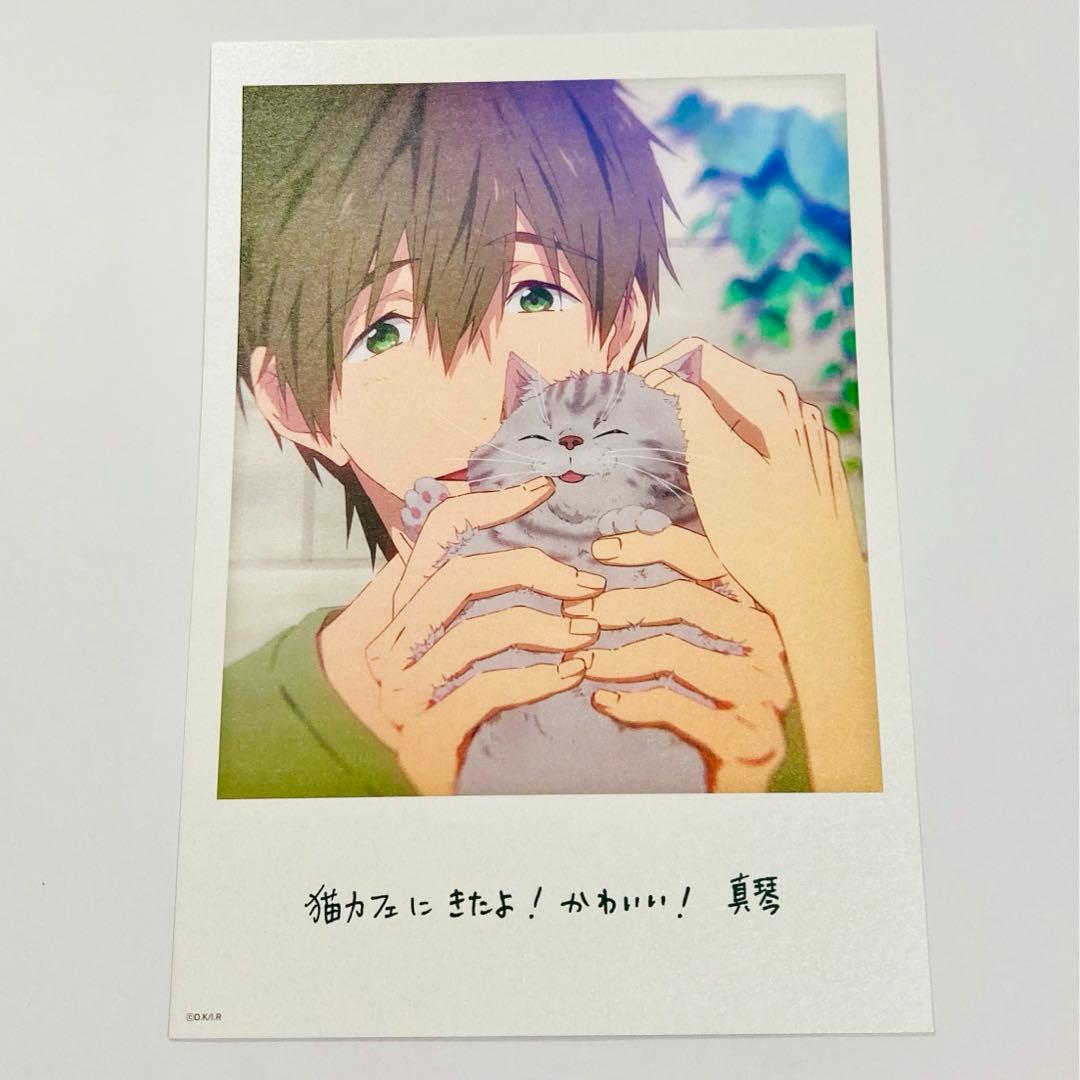 劇場版 Free! 限定特典 A5サイズ大判イラストカード 4枚セット＋応募券