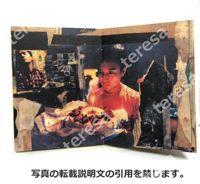 未開封新品　春光乍洩ブエノスアイレス写真集　レスリー・チャン/トニー・レオン